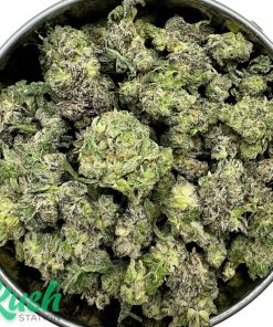 White Truffle | Hybrid | Kush Station | Buy Weed Online In Canada