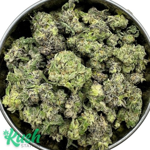 White Truffle | Hybrid | Kush Station | Buy Weed Online In Canada