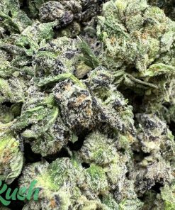 White Truffle | Hybrid | Kush Station | Buy Weed Online In Canada