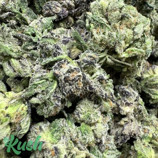 White Truffle | Hybrid | Kush Station | Buy Weed Online In Canada