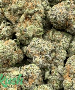 Biscotti | Indica | Kush Station | Buy Weed Online In Canada