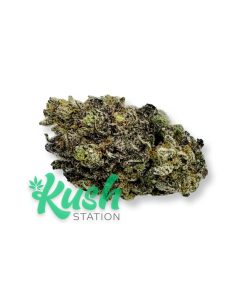 Blackberry | Hybrid | Kush Station | Buy Weed Online In Canada