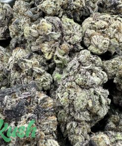 Blackberry | Hybrid | Kush Station | Buy Weed Online In Canada
