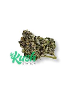 Paradiso | Hybrid | Kush Station | Buy Weed Online In Canada