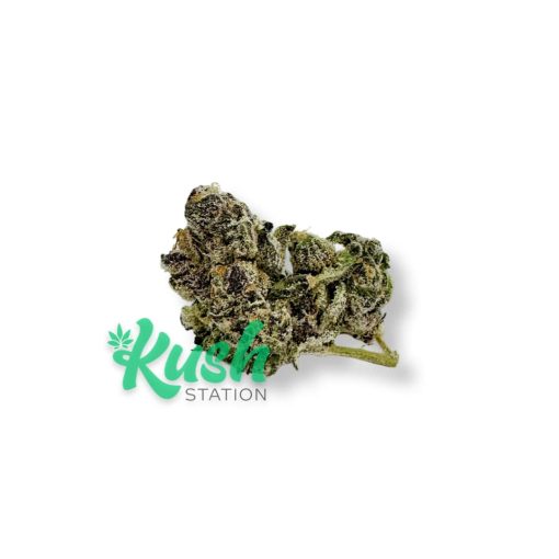 Paradiso | Hybrid | Kush Station | Buy Weed Online In Canada