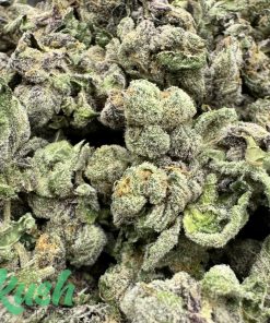 Paradiso | Hybrid | Kush Station | Buy Weed Online In Canada