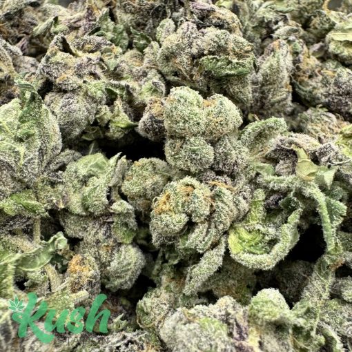 Paradiso | Hybrid | Kush Station | Buy Weed Online In Canada