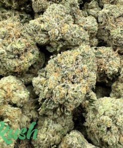 Pine Cone | Sativa | Kush Station | Buy Weed Online In Canada