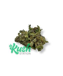 Purple Grapefruit | Hybrid | Kush Station | Buy Weed Online In Canada