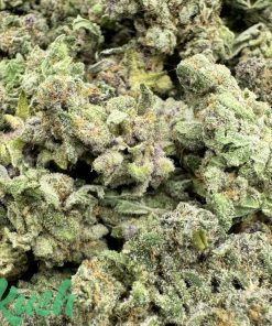Purple Grapefruit | Hybrid | Kush Station | Buy Weed Online In Canada