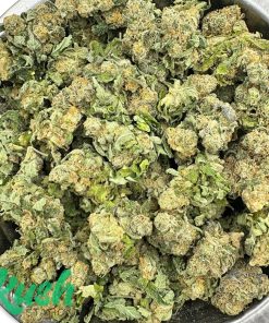 Sol Sonic | Hybrid | Kush Station | Buy Weed Online In Canada