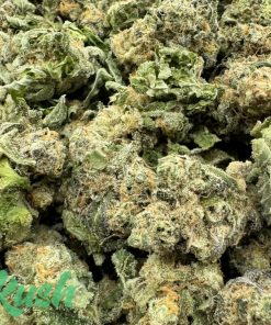 Sol Sonic | Hybrid | Kush Station | Buy Weed Online In Canada