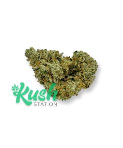 Tangerine Haze | Indica | Kush Station | Buy Weed Online In Canada