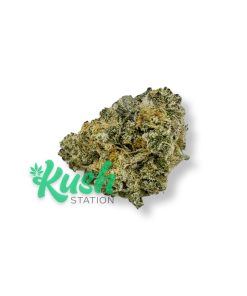 Zero Gravity | Hybrid | Kush Station | Buy Weed Online In Canada