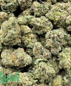 Zero Gravity | Hybrid | Kush Station | Buy Weed Online In Canada