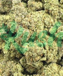 Super Sour Diesel | Sativa | Kush Station | Buy Weed Online In Canada