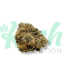 Jungle Cake | Hybrid | Kush Station | Buy Weed Online In Canada