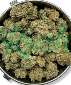 Lemon Haze | Sativa | Kush Station | Buy Weed Online In Canada