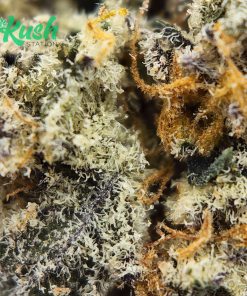 Ice Wreck | Hybrid | Kush Station | Buy Weed Online In Canada