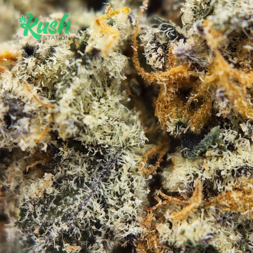 Ice Wreck | Hybrid | Kush Station | Buy Weed Online In Canada