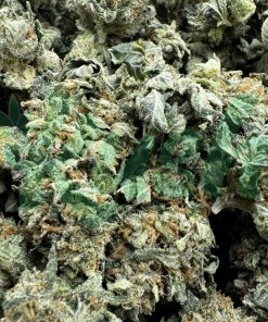 BC Kush | Indica | Kush Station | Buy Weed Online In Canada