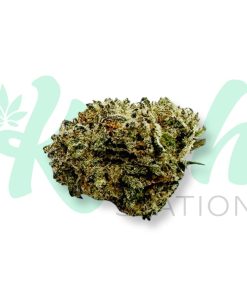 Berry Haze | Sativa | Kush Station | Buy Weed Online In Canada