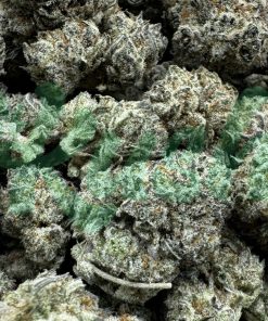 Berry Haze | Sativa | Kush Station | Buy Weed Online In Canada