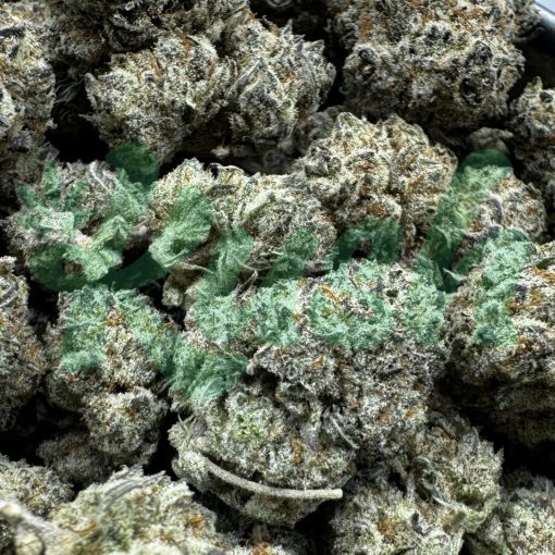 Berry Haze | Sativa | Kush Station | Buy Weed Online In Canada