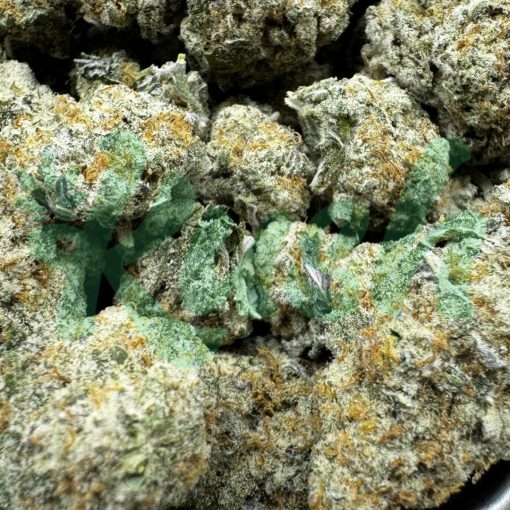 Jack Frost | Hybrid | Kush Station | Buy Weed Online In Canada