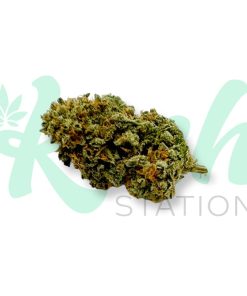 Nuken | Indica | Kush Station | Buy Weed Online In Canada