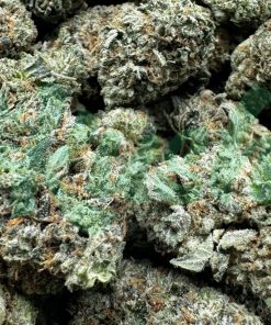 Rockstar Tuna | Indica | Kush Station | Buy Weed Online In Canada