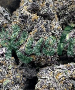 Black Cherry Soda | Sativa | Kush Station | Buy Weed Online In Canada