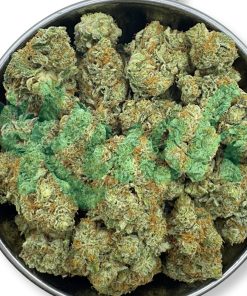 Jelly Breath | Hybrid | Kush Station | Buy Weed Online In Canada