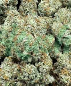 Jelly Breath | Hybrid | Kush Station | Buy Weed Online In Canada