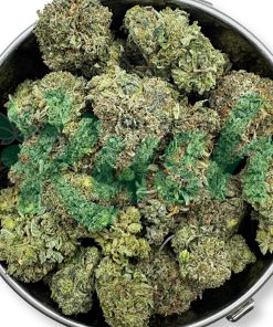 Pine Tar | Indica | Kush Station | Buy Weed Online In Canada