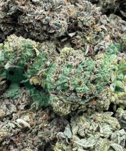 Pine Tar | Indica | Kush Station | Buy Weed Online In Canada