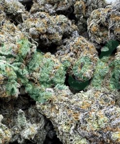 Granddaddy Purple | Indica | Kush Station | Buy Weed Online In Canada