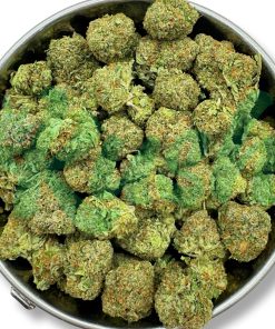 Motorbreath | Indica | Kush Station | Buy Weed Online In Canada