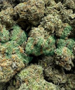 Citral Glue | Hybrid | Kush Station | Buy Weed Online In Canada