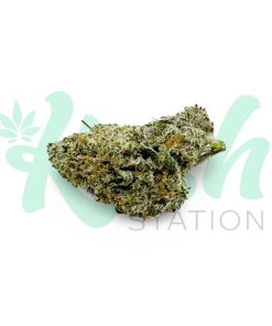 Girl Scout Cookies | Hybrid | Kush Station | Buy Weed Online In Canada