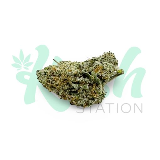 Girl Scout Cookies | Hybrid | Kush Station | Buy Weed Online In Canada