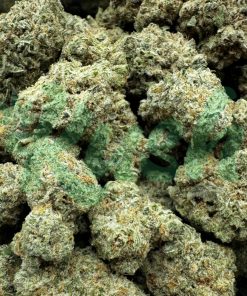 Girl Scout Cookies | Hybrid | Kush Station | Buy Weed Online In Canada