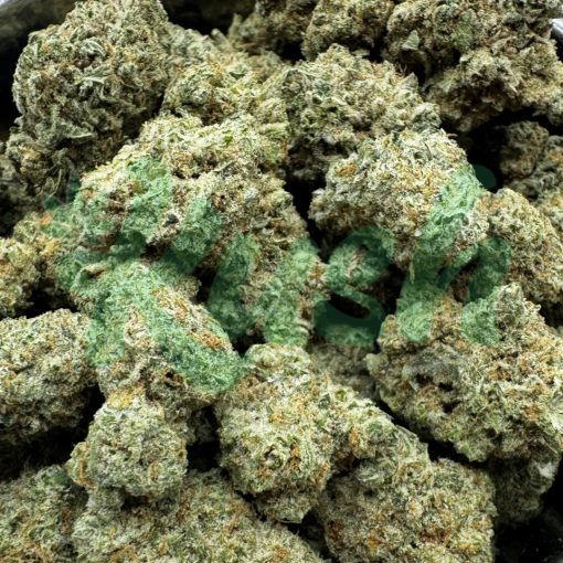 Girl Scout Cookies | Hybrid | Kush Station | Buy Weed Online In Canada