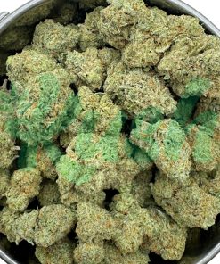 Girl Scout Cookies | Hybrid | Kush Station | Buy Weed Online In Canada