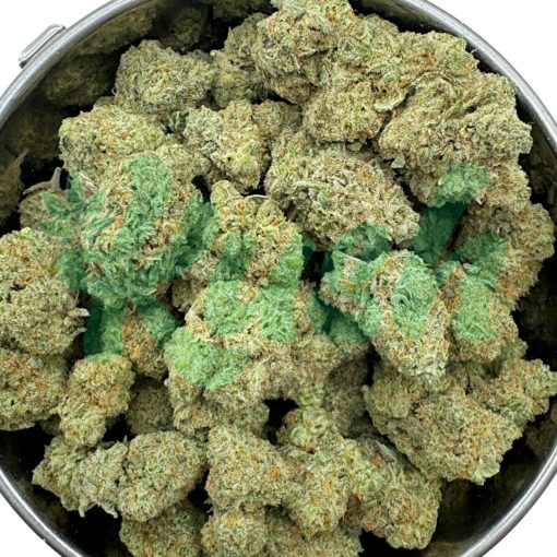 Girl Scout Cookies | Hybrid | Kush Station | Buy Weed Online In Canada