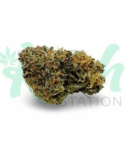 Mango Haze | Hybrid | Kush Station | Buy Weed Online In Canada