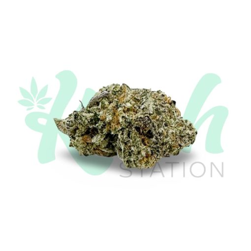 Pina Colada | Hybrid | Kush Station | Buy Weed Online In Canada