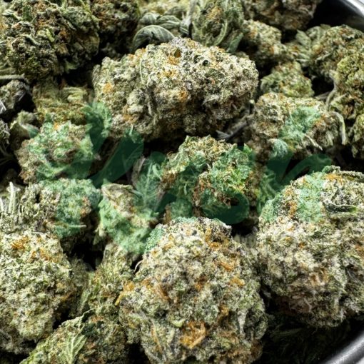 Pina Colada | Hybrid | Kush Station | Buy Weed Online In Canada