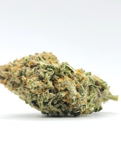 Animal Face | Sativa | Kush Station | Buy Weed Online