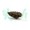 Blue Dream | Hybrid | Kush Station | Buy Weed Online In Canada